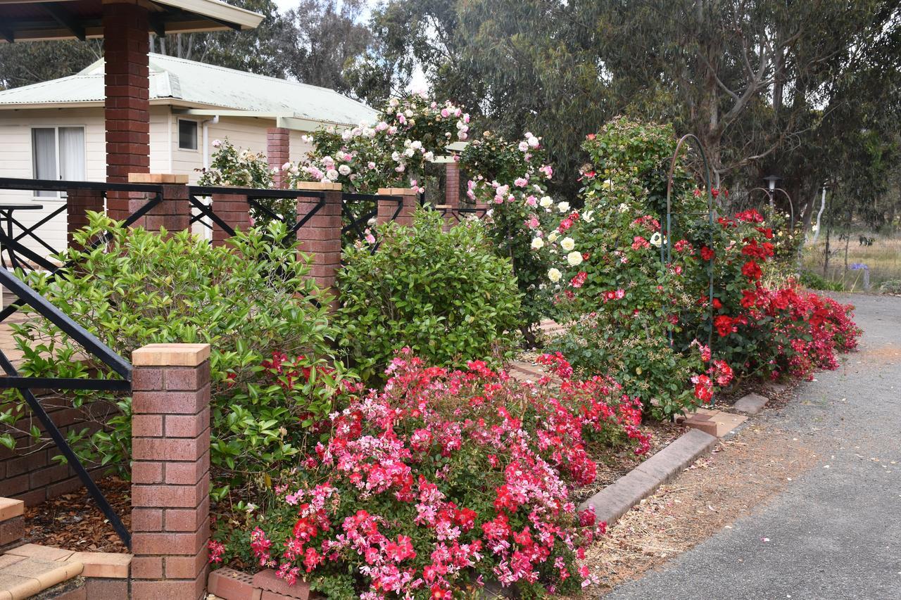 Mount Barker Valley Views Motel & Chalets, Western Australia Exterior foto