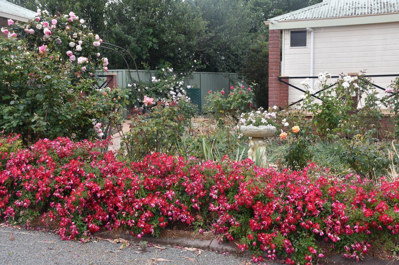 Mount Barker Valley Views Motel & Chalets, Western Australia Exterior foto